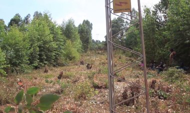 GATSIBO :Kutandikisha abana babyaye mu bihe bya Covid 19 bibateye inkeke