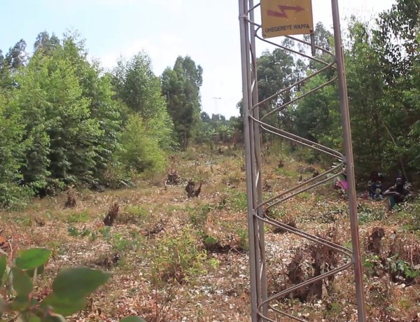 GATSIBO :Kutandikisha abana babyaye mu bihe bya Covid 19 bibateye inkeke