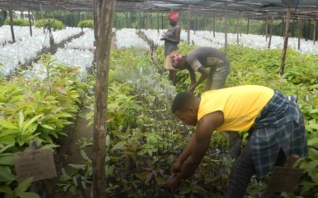 KAYONZA: Kudasuzugura umurimo byabahinduriye ubuzima