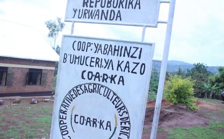 NGOMA :Koperative   COARIKA yugarijwe n’uruhuri rw’ibibazo