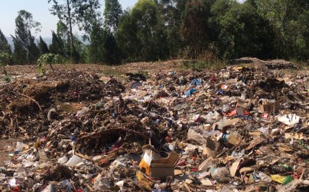 NGOMA: Ikimpoteri cya Ruhinga nticyatanze ibicanwa byijejwe abanya-Kibungo