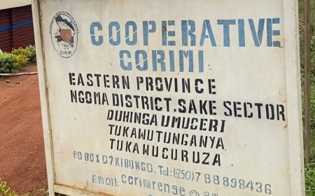 NGOMA  :Abagize koperative CORIMI baremeye abageze muzabukuru