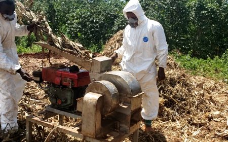 RWAMAGANA:Barasaba imodoka yo kubafasha gukusanya imyanda ikorwamo ifumbire