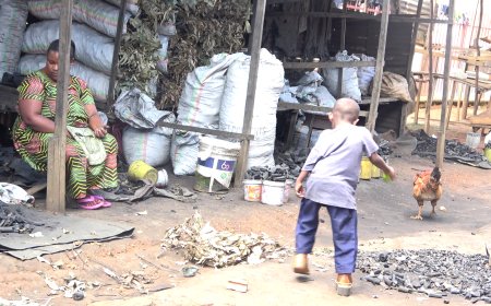 KICUKIRO :Bagowe no kubura aho bavuza abana bafite ubumuga