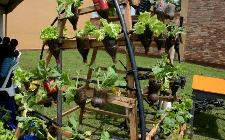 Kayonza: Urubyiruko rukora akarima k’igikoni gashobora kwimukanwa