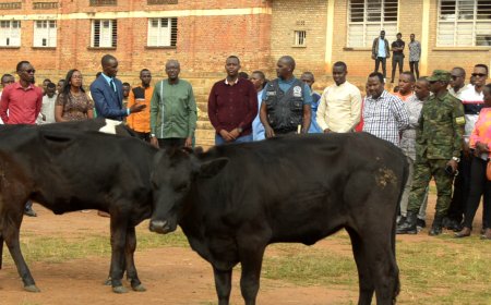 Rwamagana:  Hatangijwe gahunda ya Gira inka rubyiruko