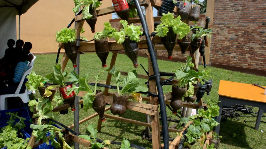 Kayonza: Urubyiruko rukora akarima k’igikoni gashobora kwimukanwa