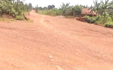 Kayonza :Umuhanda werekeza kuri kaminuza ya Rukara ubangamiye abagenzi