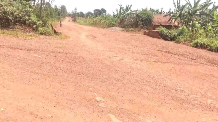 Kayonza :Umuhanda werekeza kuri kaminuza ya Rukara ubangamiye abagenzi