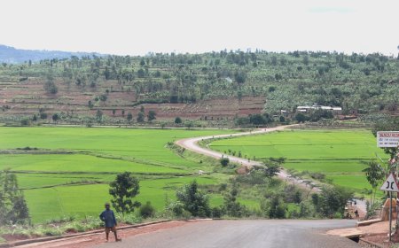 Gatsibo: Umuhanda wa kaburimbo wegereye igishanga cya Kanyonyomba wazamuye ubukungu n’imibereho y’abaturage