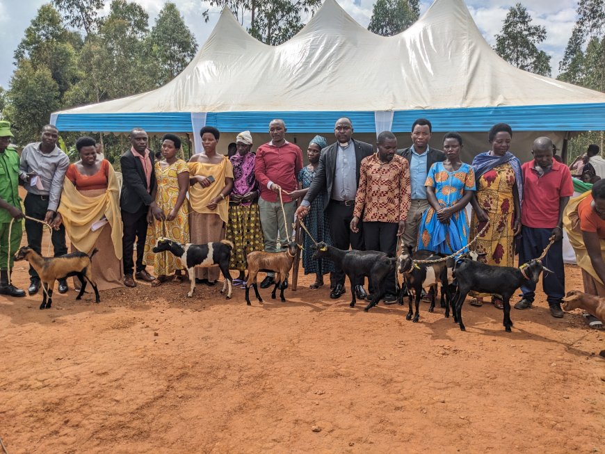 Rwamagana: Imiryango 264 yorojwe amatungo magufi