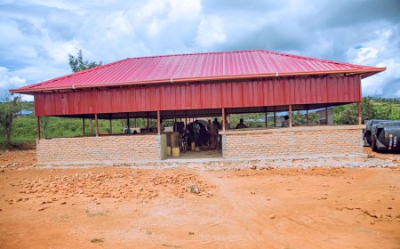 Kayonza: Abatuye mu murenge wa Murundi bavuga imyato isoko bubakiwe