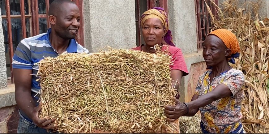 Ngoma:Aborozi bavumbuye uburyo bwo guhunika ubwatsi butunga inka mu mpeshyi