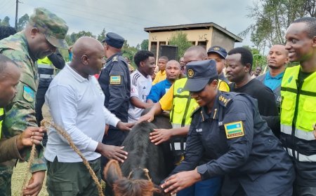 Amajyaruguru: Urubyiruko rw'Abakorerabushake rwasabwe kutadohoka