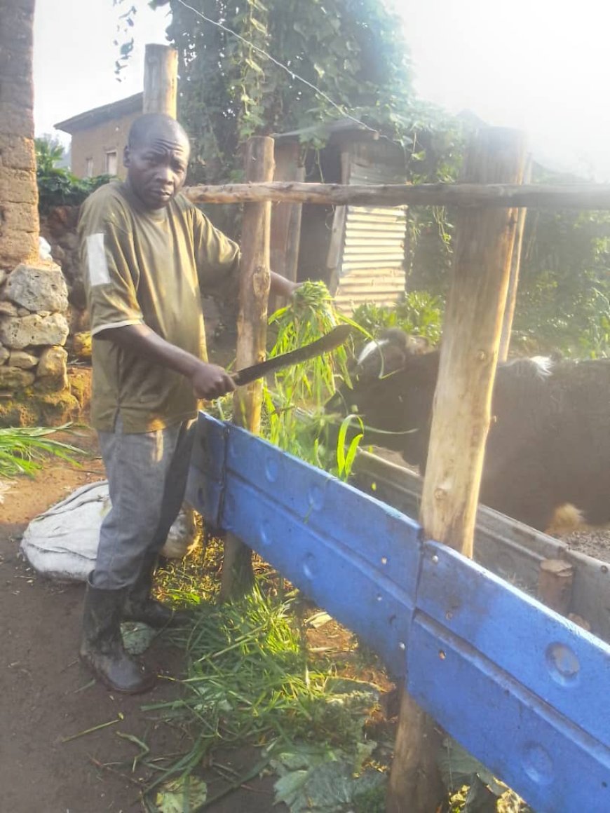 Rubavu: Girinka yamukuye muri nyakatsi, ubu afite inzu yo kubamo n'iy'ubucuruzi