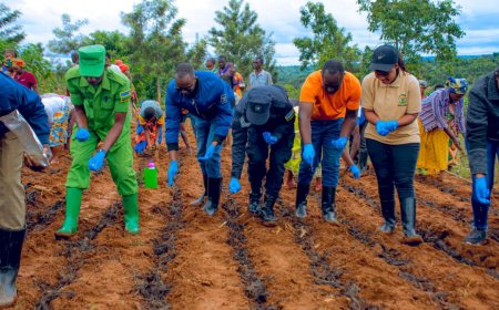 Ngoma:Hatangizwe igihembwe cy’ihinga 2026 B mu Karere ka Ngoma, abahinzi basabwe gukoresha inyongeramusaruro zigezweho no gufata ubwishingizi bw’imyaka