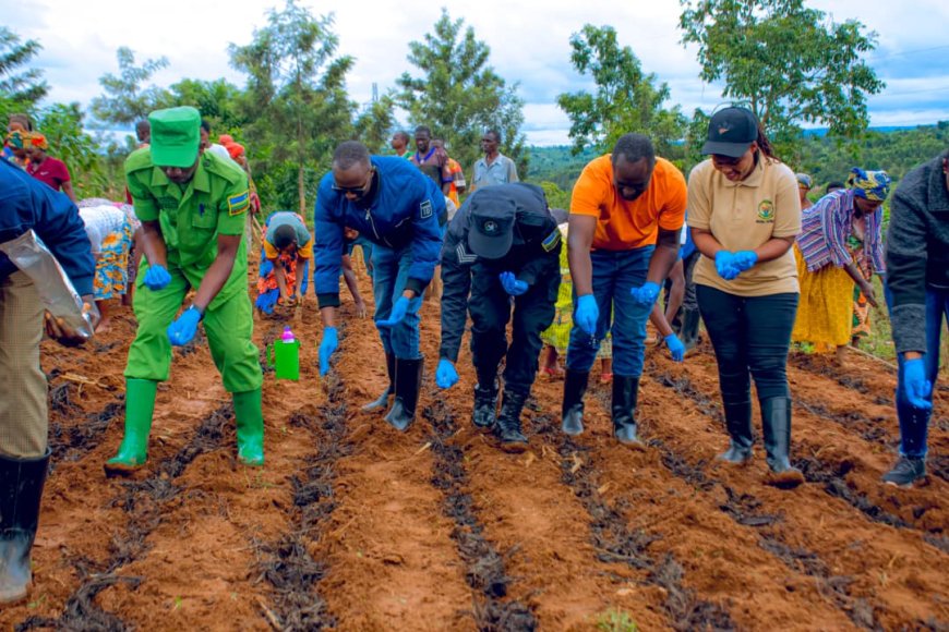 Ngoma:Hatangizwe igihembwe cy’ihinga 2026 B mu Karere ka Ngoma, abahinzi basabwe gukoresha inyongeramusaruro zigezweho no gufata ubwishingizi bw’imyaka