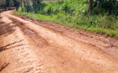 “Munyaga ya Rwamagana hari imihigo iteswa 100% kubera  imihanda mibi”