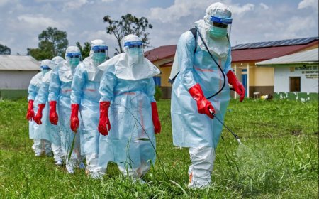 Mu rwego rwo kwirinda icyorezo cya Ebola”RDB yavuze ko nta Munyamahanga wanyuze muri DRC mu minsi 30 ishize wemerewe kwinjira mu gihu “
