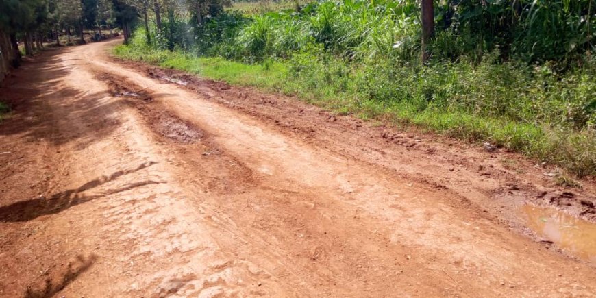 “Munyaga ya Rwamagana hari imihigo iteswa 100% kubera  imihanda mibi”
