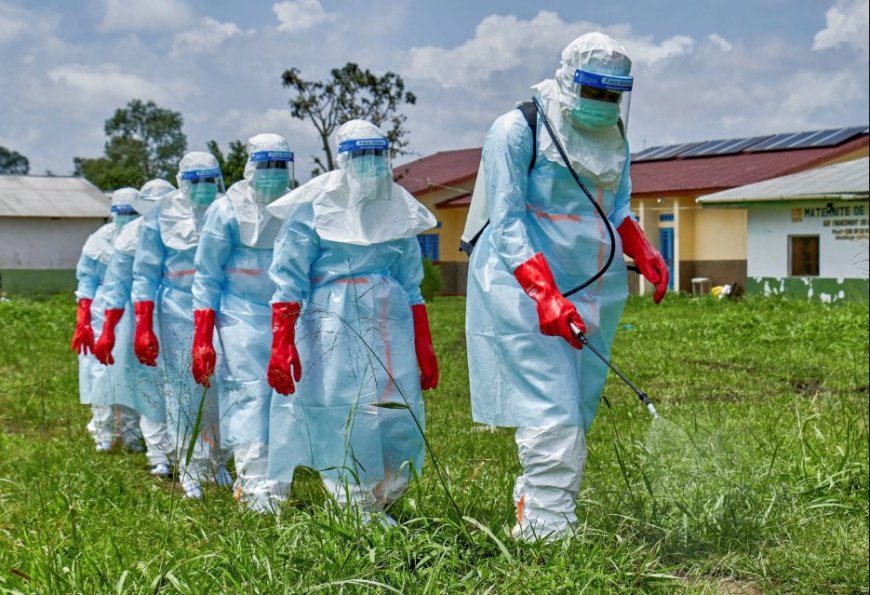 Mu rwego rwo kwirinda icyorezo cya Ebola”RDB yavuze ko nta Munyamahanga wanyuze muri DRC mu minsi 30 ishize wemerewe kwinjira mu gihu “