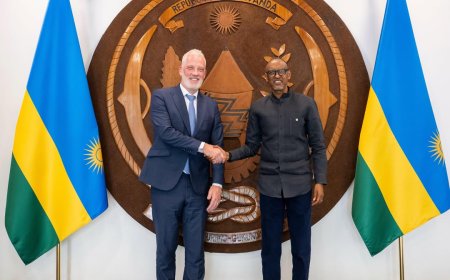 Perezida Paul Kagame yakiriye umuyobozi mukuru w'umuryango Wood Foundation.