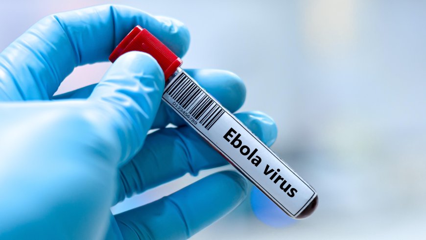 Mu  Bufaransa hagaragaye Umurwayi wa Mbere wa Ebola .
