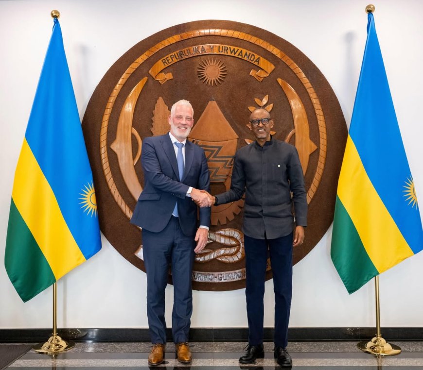 Perezida Paul Kagame yakiriye umuyobozi mukuru w'umuryango Wood Foundation.